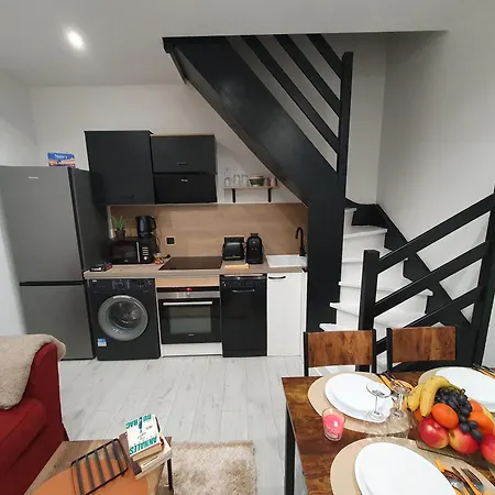 Duplex Avec Mezzanine Au Coeur De La De Nancy